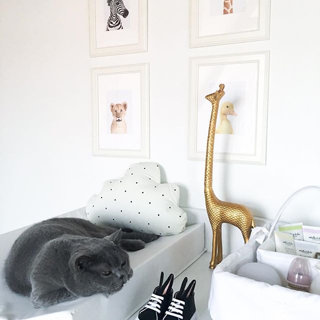 The nursery room is almost done    you will get a full room tour very soon!  Luckily I got a lot of help from this little fluffy one   #bobke #britishshorthair @theophile_patachou #nurserydecor #babyroom