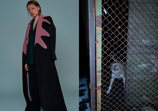 Dazed and Confused Magazine