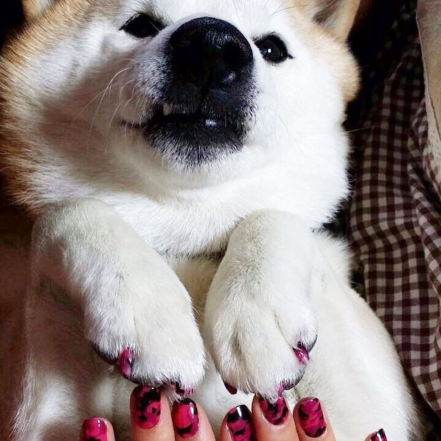 instagramoftheweek-naominailsnyc