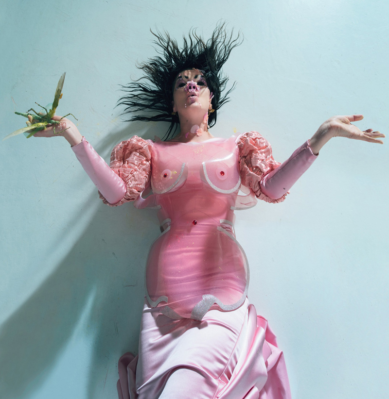 Тим Уокер снял Бьорк для W Magazine (фото 1)