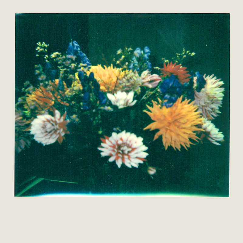 Дрис ван Нотен снял свою жизнь на Polaroid (фото 1)