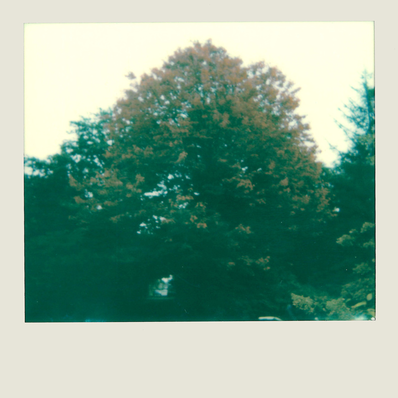 Дрис ван Нотен снял свою жизнь на Polaroid (фото 6)