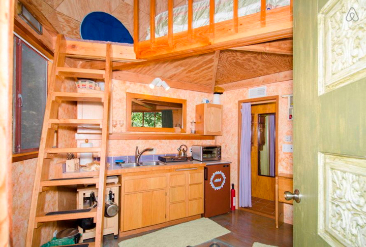 Хижина в лесу стала самым популярным жильем на Airbnb (фото 5)
