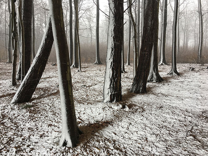 iPhone Photography Awards: Смотрите работы победителей (фото 17)