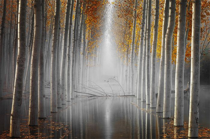 Названы победители Nature Photographer of The Year — 2019. Смотрите лучшие снимки природы (фото 4)