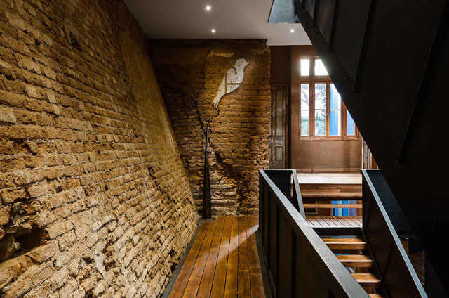 Fauna Hotel Chile