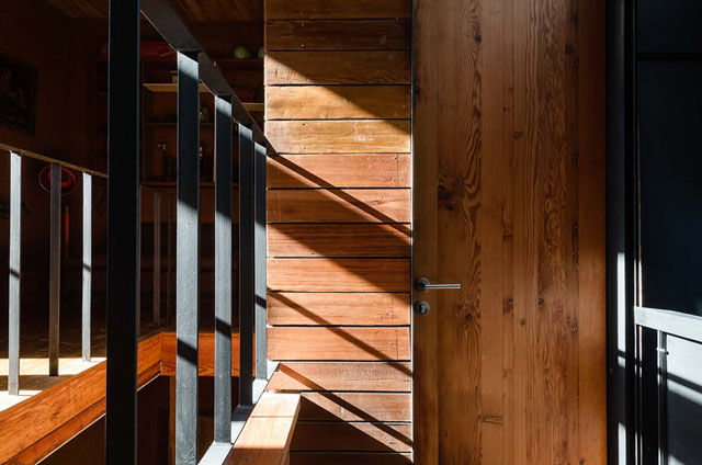 Fauna Hotel Chile