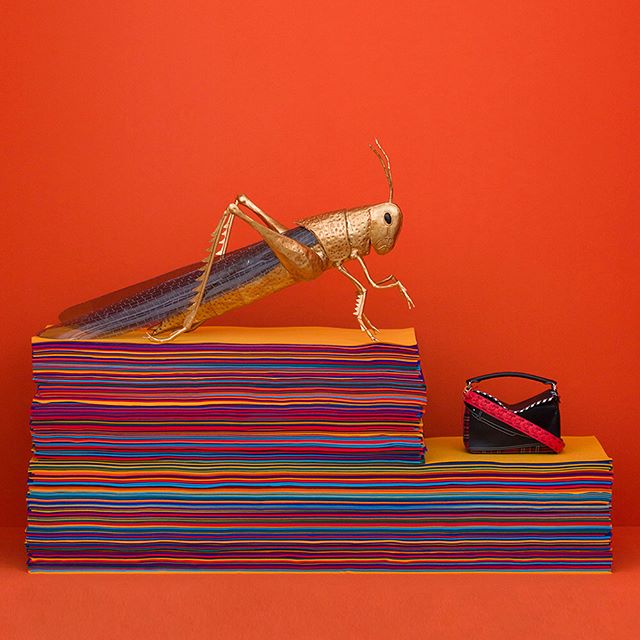 Heat 2017
New window concept
#LOEWEvisual
#LOEWE
