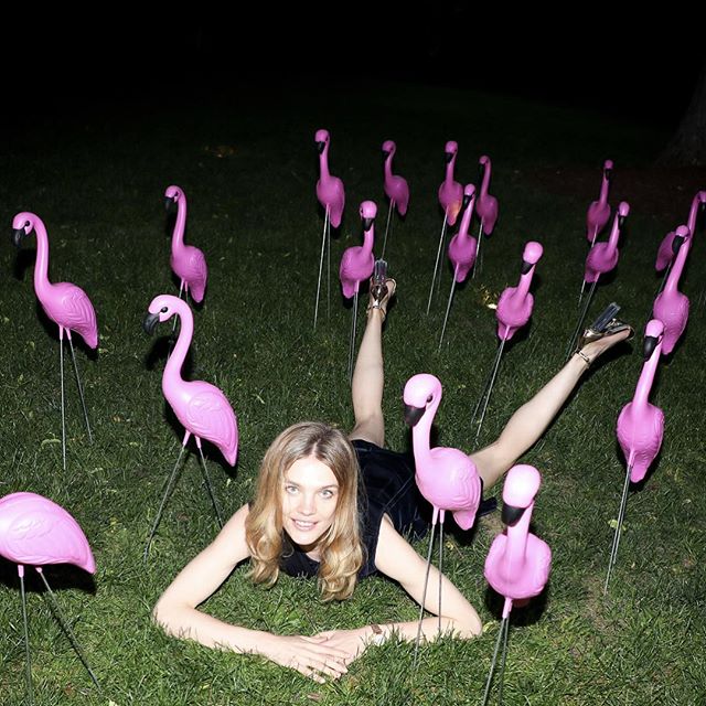 Thank you @stellamccartney for a cute photo op       #aboutlastnight photo by @afinsky