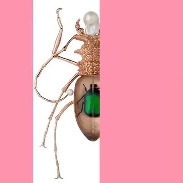 INSECTMANIA unique pieces collection has arrived in our London Boutique @delfinadelettrezlondon - Precious creatures are looking forward to crawl on your coat this Winter