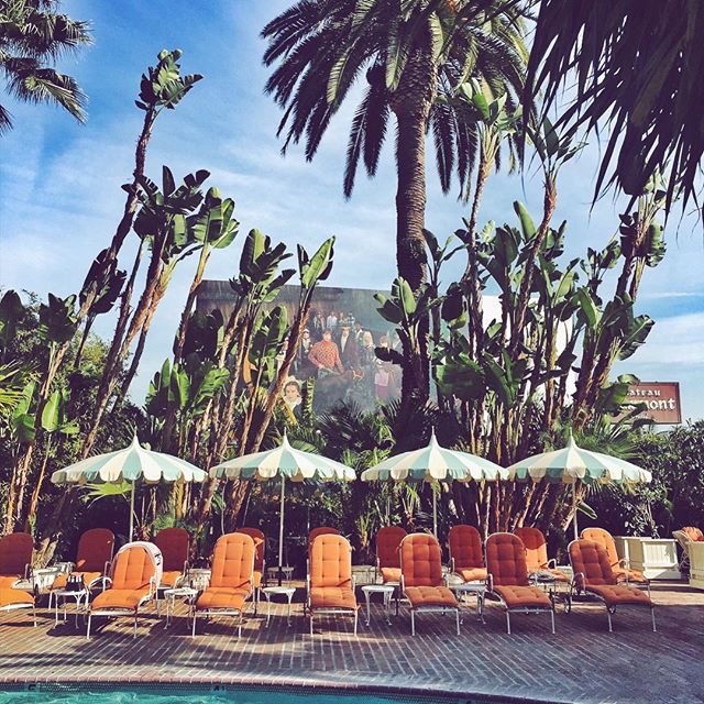 Bikini spot   
.
#lunch #poolside #chateaumarmont #pool #humpday #takeabreak